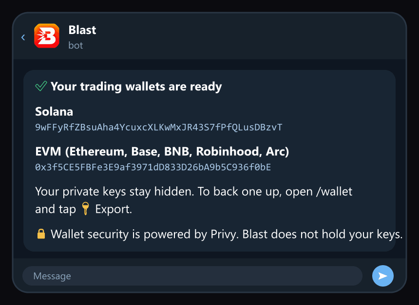 Your Solana and EVM wallets, ready. Keys stay hidden until you export one.